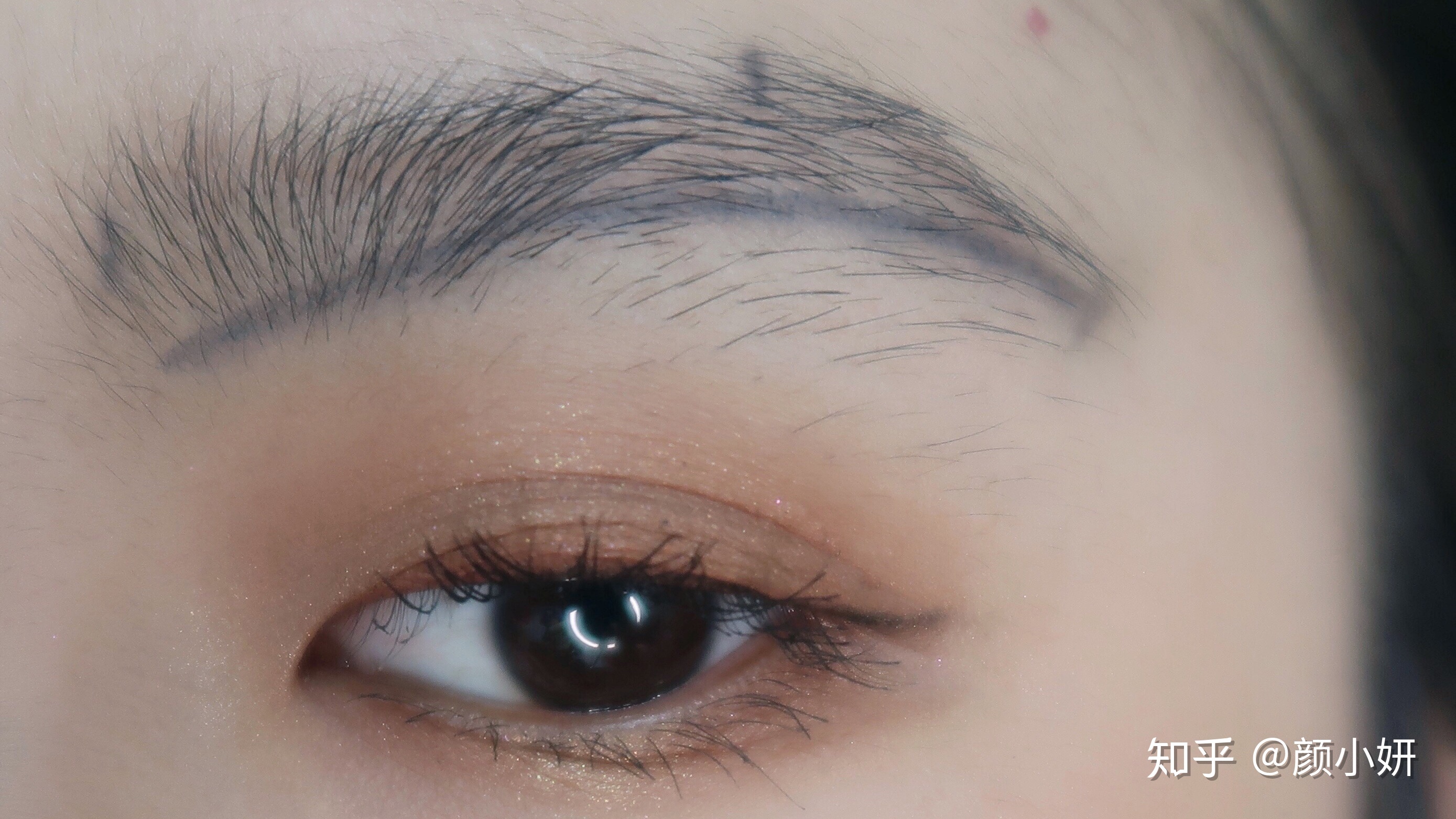 内地与港澳15所高校和科研机构共同发起！生命科学开放联盟成立