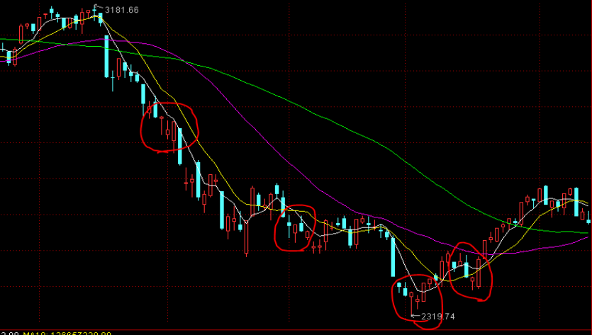 优服务强支撑 湛江市构建“近悦远来”人才生态