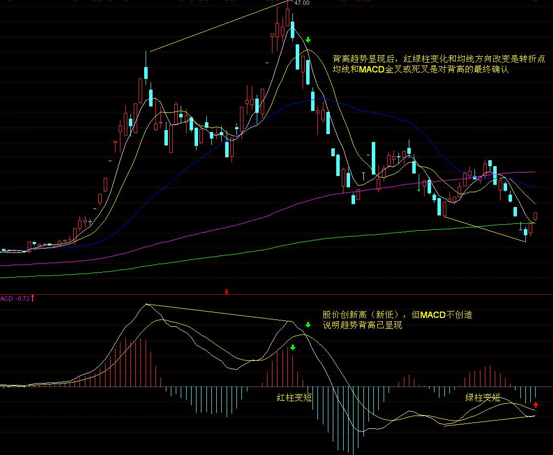 广东启动防汛Ⅳ级应急响应！